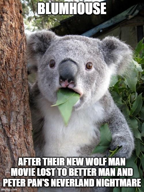 blumhouse is screwed | BLUMHOUSE; AFTER THEIR NEW WOLF MAN MOVIE LOST TO BETTER MAN AND PETER PAN'S NEVERLAND NIGHTMARE | image tagged in memes,surprised koala,prediction,blumhouse | made w/ Imgflip meme maker