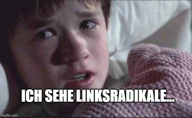 I See Dead People | ICH SEHE LINKSRADIKALE... | image tagged in memes,i see dead people | made w/ Imgflip meme maker