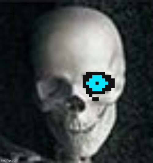 Shitpost time | image tagged in skull,sans undertale | made w/ Imgflip meme maker