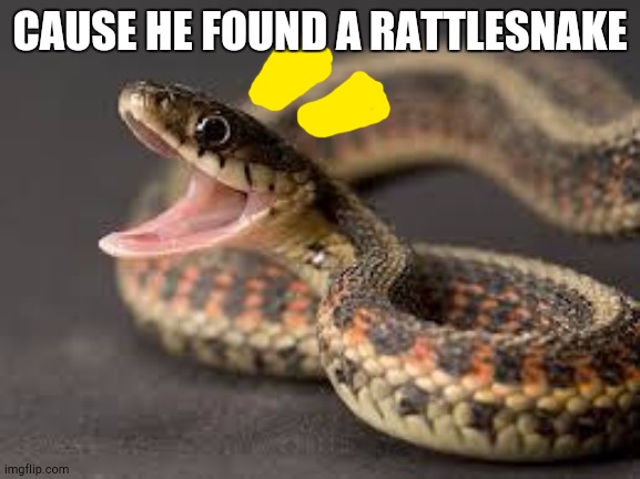 Warning Snake | CAUSE HE FOUND A RATTLESNAKE | image tagged in warning snake | made w/ Imgflip meme maker