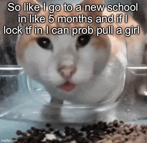 Mr Shock stare | So like I go to a new school in like 5 months and if I lock tf in I can prob pull a girl | image tagged in mr shock stare | made w/ Imgflip meme maker