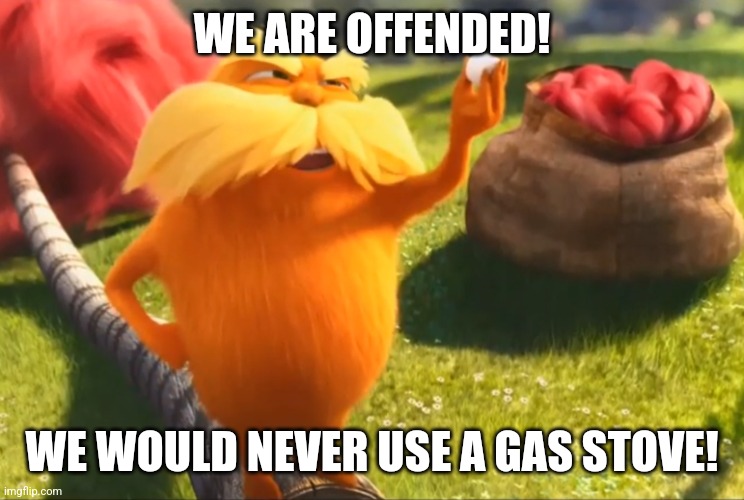 The Lorax Highly Offended | WE ARE OFFENDED! WE WOULD NEVER USE A GAS STOVE! | image tagged in the lorax highly offended | made w/ Imgflip meme maker