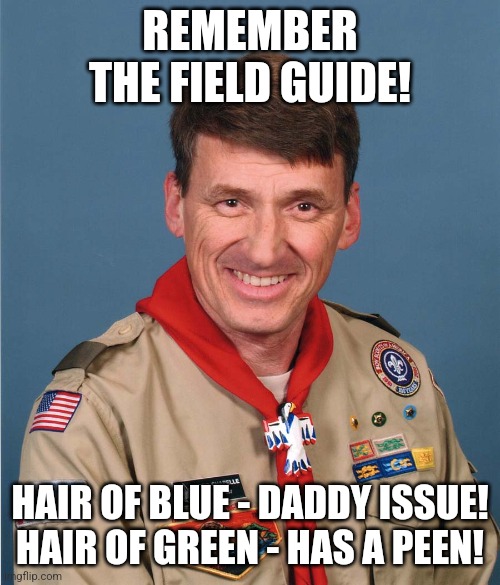 Bully Scoutmaster | REMEMBER THE FIELD GUIDE! HAIR OF BLUE - DADDY ISSUE!
HAIR OF GREEN - HAS A PEEN! | image tagged in bully scoutmaster | made w/ Imgflip meme maker