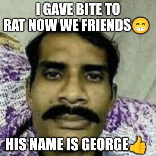 INDIAN AMIR | I GAVE BITE TO RAT NOW WE FRIENDS😁; HIS NAME IS GEORGE👍 | image tagged in lol so funny | made w/ Imgflip meme maker