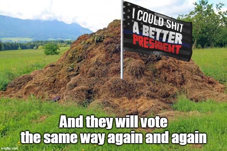 And they will vote the same way again and again | made w/ Imgflip meme maker