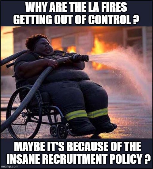 Diversity - Equality - Inclusivity | WHY ARE THE LA FIRES GETTING OUT OF CONTROL ? MAYBE IT'S BECAUSE OF THE
 INSANE RECRUITMENT POLICY ? | image tagged in la fires,dei,insanity,politics | made w/ Imgflip meme maker