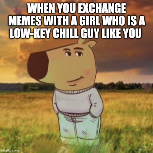 beware guys. that girl you chat with could be a guy too | WHEN YOU EXCHANGE MEMES WITH A GIRL WHO IS A LOW-KEY CHILL GUY LIKE YOU | image tagged in chill guy | made w/ Imgflip meme maker