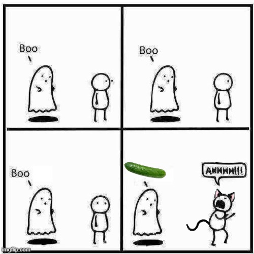 Ghost Boo | image tagged in ghost boo | made w/ Imgflip meme maker