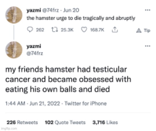 Weirdest hamster deaths | image tagged in memes,funny,hamster | made w/ Imgflip meme maker