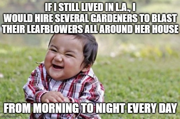 Evil Toddler Meme | IF I STILL LIVED IN L.A., I WOULD HIRE SEVERAL GARDENERS TO BLAST THEIR LEAFBLOWERS ALL AROUND HER HOUSE FROM MORNING TO NIGHT EVERY DAY | image tagged in memes,evil toddler | made w/ Imgflip meme maker