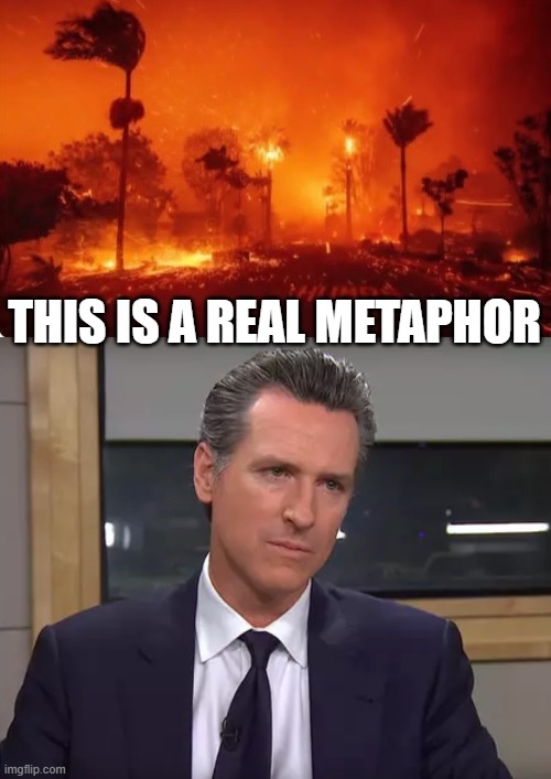 THIS IS A REAL METAPHOR | image tagged in la fires 2025,governor california | made w/ Imgflip meme maker