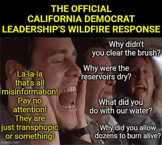 To call California Democrats incompetent is like calling the sky blue. But they are now labeling  victims as liars?!? | THE OFFICIAL CALIFORNIA DEMOCRAT LEADERSHIP'S WILDFIRE RESPONSE; La-la-la that's all misinformation! Pay no attention! They are just transphopic or something! Why didn't you clear the brush? Why were the reservoirs dry? What did you do with our water? Why did you allow dozens to burn alive? | image tagged in make it stop,stupid liberals,liberal hypocrisy,crying democrats,california fires,epic fail | made w/ Imgflip meme maker