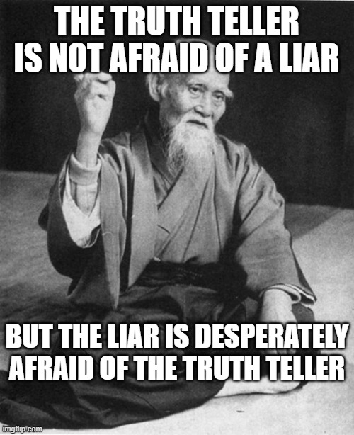 Wise Master | THE TRUTH TELLER IS NOT AFRAID OF A LIAR BUT THE LIAR IS DESPERATELY AFRAID OF THE TRUTH TELLER | image tagged in wise master | made w/ Imgflip meme maker