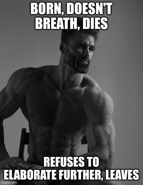 Giga Chad | BORN, DOESN'T BREATH, DIES REFUSES TO ELABORATE FURTHER, LEAVES | image tagged in giga chad | made w/ Imgflip meme maker