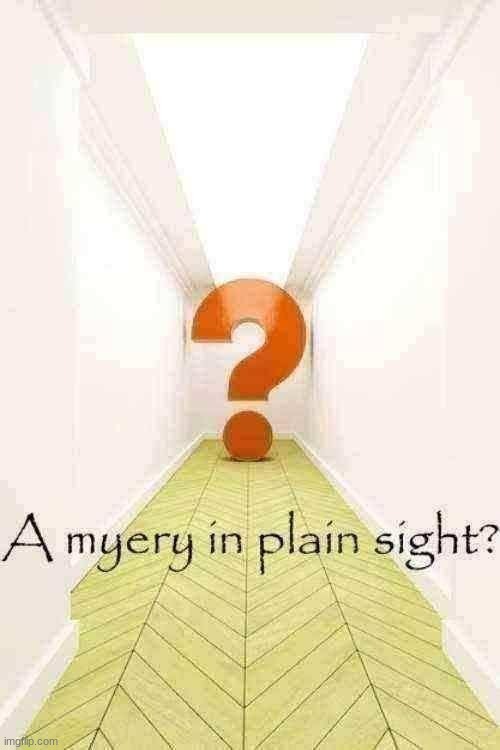 A myery in plain sight | image tagged in a myery in plain sight | made w/ Imgflip meme maker