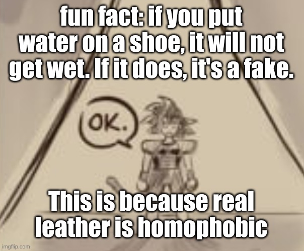 Bardock "OK." | fun fact: if you put water on a shoe, it will not get wet. If it does, it's a fake. This is because real leather is homophobic | image tagged in bardock ok | made w/ Imgflip meme maker