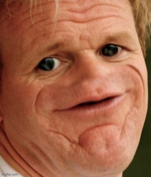 The Gordon Ramsey | image tagged in the gordon ramsey | made w/ Imgflip meme maker