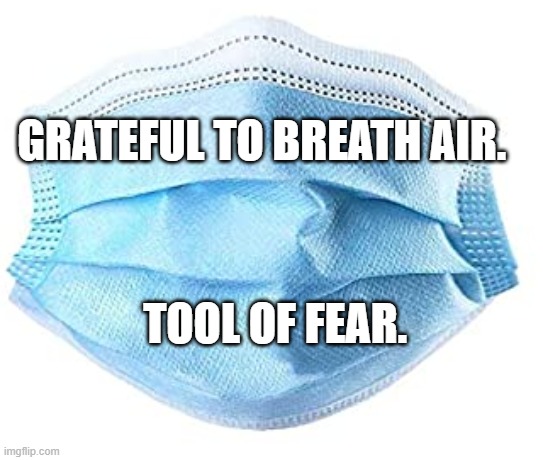 Medical mask | GRATEFUL TO BREATH AIR. TOOL OF FEAR. | image tagged in medical mask | made w/ Imgflip meme maker