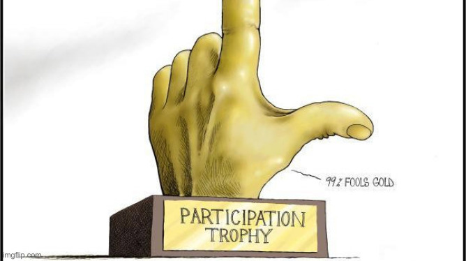 Participation Award | image tagged in participation award | made w/ Imgflip meme maker