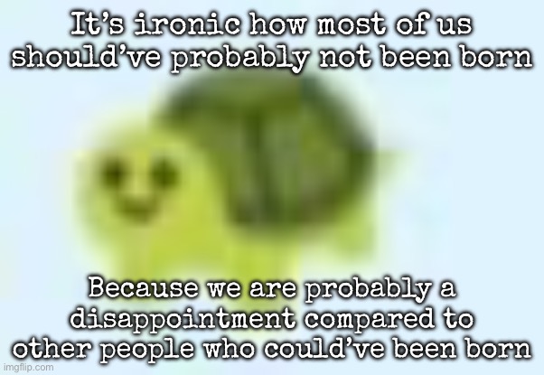 low quality turtle | It’s ironic how most of us should’ve probably not been born; Because we are probably a disappointment compared to other people who could’ve been born | image tagged in low quality turtle,msmg | made w/ Imgflip meme maker