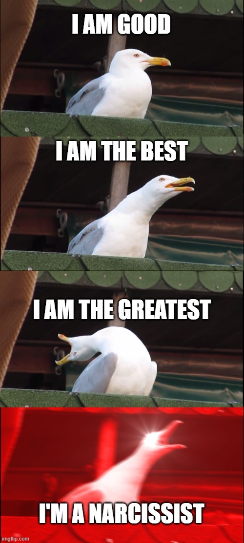 I am Good | I AM GOOD; I AM THE BEST; I AM THE GREATEST; I'M A NARCISSIST | image tagged in memes,inhaling seagull | made w/ Imgflip meme maker