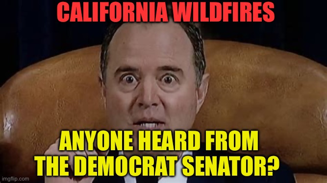 Democrat incompetence | CALIFORNIA WILDFIRES; ANYONE HEARD FROM THE DEMOCRAT SENATOR? | image tagged in adam schiff,democrats,california fires,incompetence,woke | made w/ Imgflip meme maker