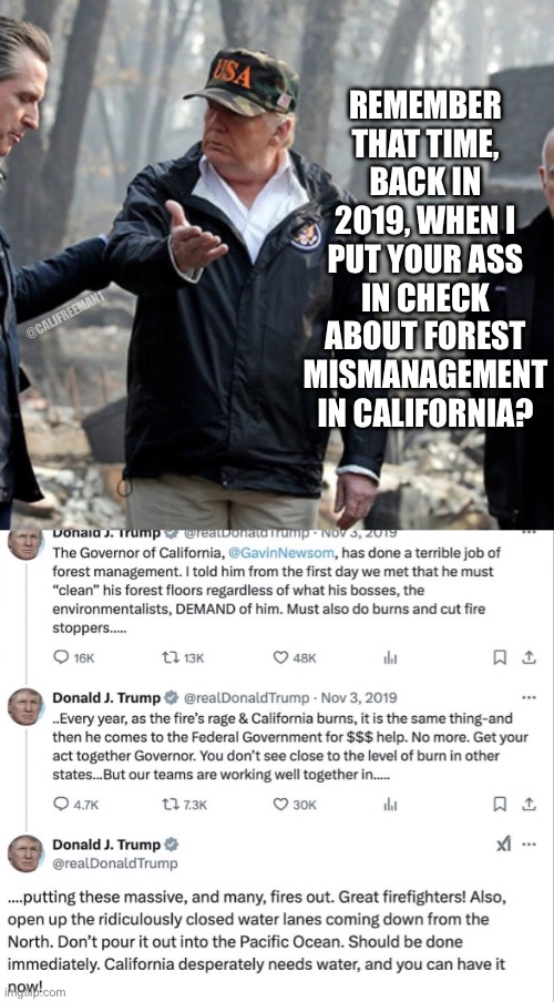 Newsom was called out way back…. | REMEMBER THAT TIME, BACK IN 2019, WHEN I PUT YOUR ASS IN CHECK ABOUT FOREST MISMANAGEMENT IN CALIFORNIA? @CALJFREEMAN1 | image tagged in donald trump,maga,california,california fires,stupid liberals,democrats | made w/ Imgflip meme maker