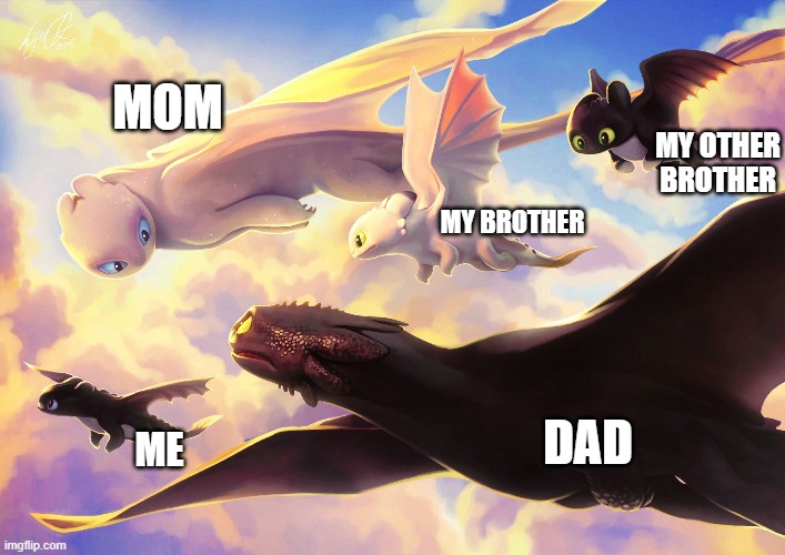 My family are FURY DRAGONS | MOM; MY OTHER BROTHER; MY BROTHER; DAD; ME | image tagged in i'm dart,the female night light | made w/ Imgflip meme maker