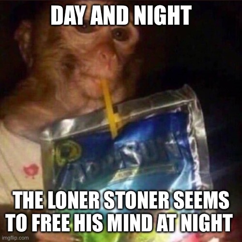 W song | DAY AND NIGHT; THE LONER STONER SEEMS TO FREE HIS MIND AT NIGHT | image tagged in monkey | made w/ Imgflip meme maker