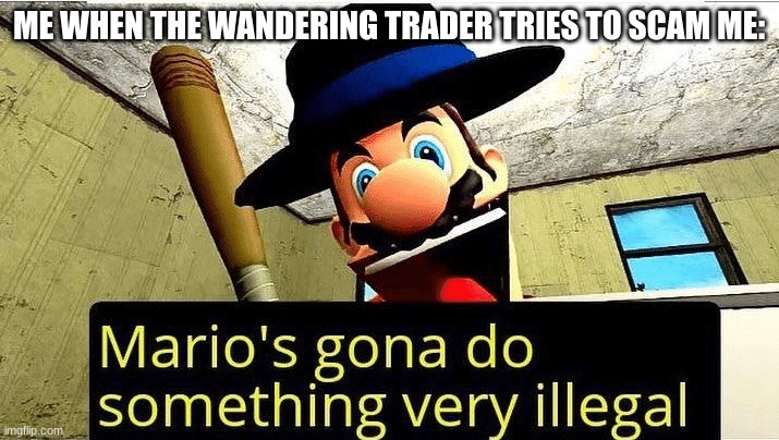 an unlawful waste of emeralds | ME WHEN THE WANDERING TRADER TRIES TO SCAM ME: | image tagged in mario s gonna do something very illegal | made w/ Imgflip meme maker