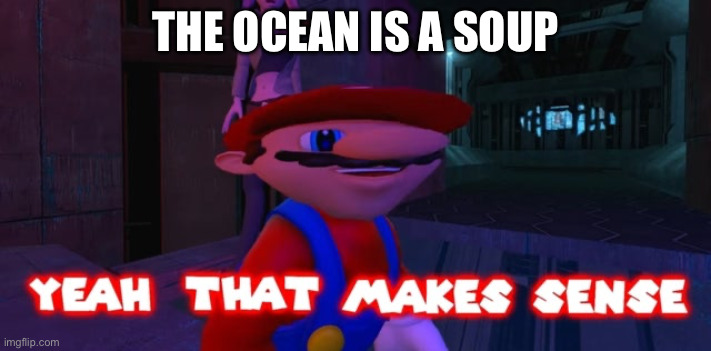 Mario that make sense | THE OCEAN IS A SOUP | image tagged in mario that make sense | made w/ Imgflip meme maker