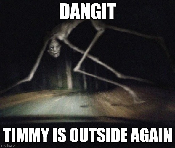 County road creature | DANGIT; TIMMY IS OUTSIDE AGAIN | image tagged in county road creature | made w/ Imgflip meme maker