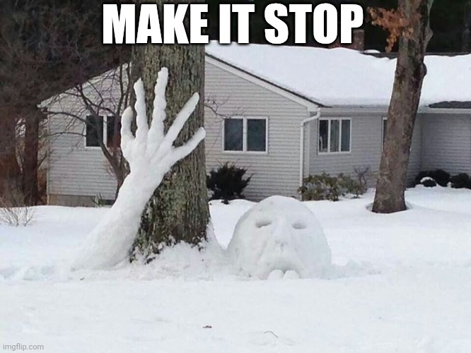 Make It Stop | MAKE IT STOP | image tagged in chris joines | made w/ Imgflip meme maker