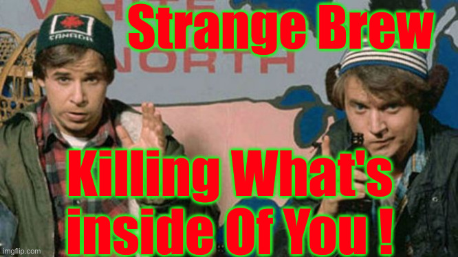 Vaxx Is Back ! | Strange Brew; Killing What's inside Of You ! | image tagged in strange brew,political meme,politics,funny memes,funny,anti-vaxx | made w/ Imgflip meme maker