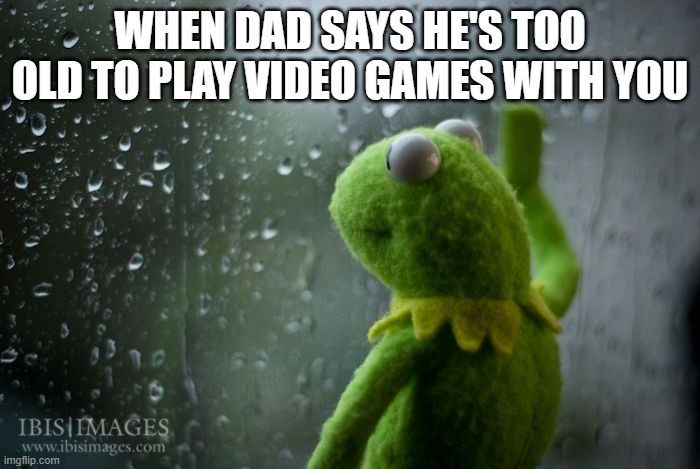 kermit window | WHEN DAD SAYS HE'S TOO OLD TO PLAY VIDEO GAMES WITH YOU | image tagged in kermit window | made w/ Imgflip meme maker