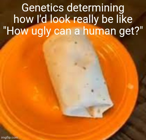 JimmyHere Burrito | Genetics determining how I'd look really be like "How ugly can a human get?" | image tagged in jimmyhere burrito | made w/ Imgflip meme maker