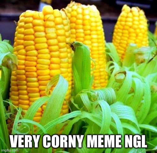 Idfk | VERY CORNY MEME NGL | image tagged in corn meme,eh | made w/ Imgflip meme maker