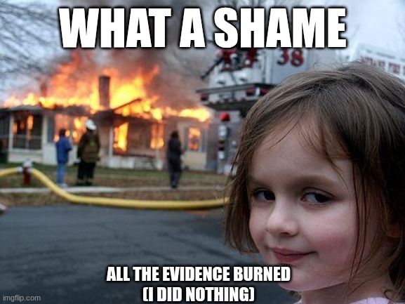 no crimes | WHAT A SHAME; ALL THE EVIDENCE BURNED
(I DID NOTHING) | image tagged in memes | made w/ Imgflip meme maker