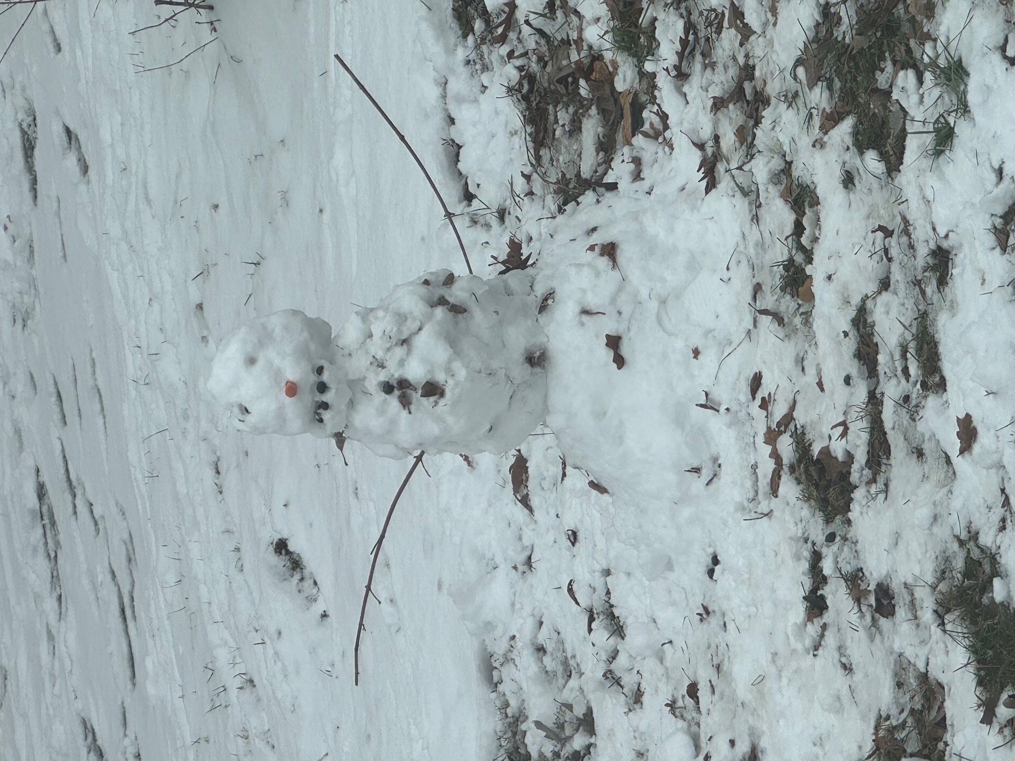 Ben Snow Blank Meme Template