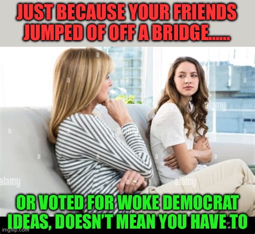 Stupid is as stupid’s vote Democrat | JUST BECAUSE YOUR FRIENDS JUMPED OF OFF A BRIDGE……; OR VOTED FOR WOKE DEMOCRAT IDEAS, DOESN’T MEAN YOU HAVE TO | image tagged in gifs,democrats,incompetence,california fires,woke,biden | made w/ Imgflip meme maker