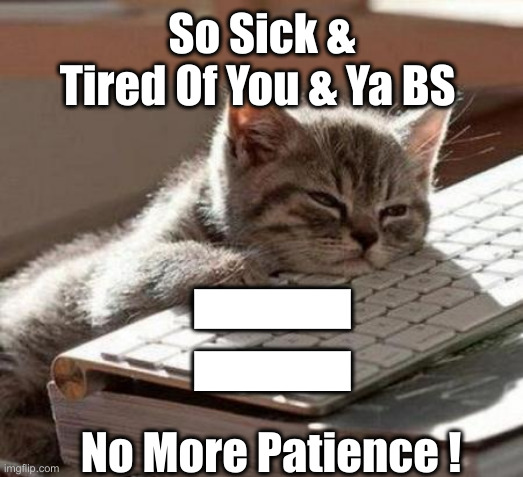 tired cat | So Sick & Tired Of You & Ya BS No More Patience ! = | image tagged in tired cat | made w/ Imgflip meme maker