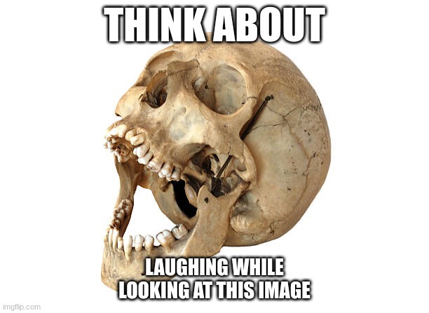 This got me rolling all the way to mars | THINK ABOUT; LAUGHING WHILE LOOKING AT THIS IMAGE | image tagged in skeleton,skull,laughing | made w/ Imgflip meme maker