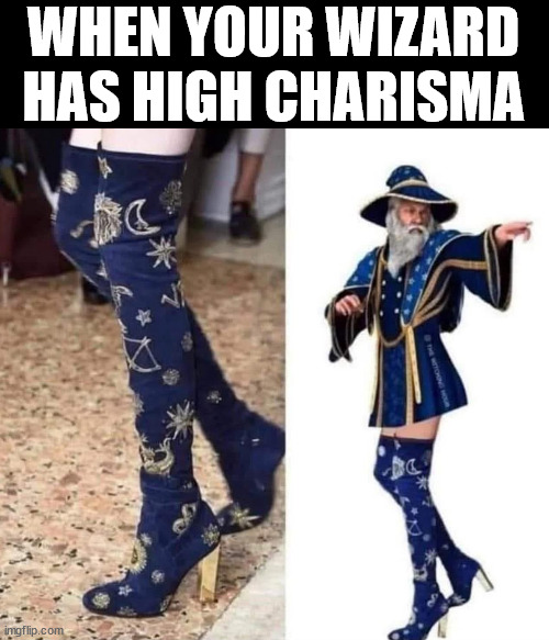 That's a whole lot of Charisma | WHEN YOUR WIZARD HAS HIGH CHARISMA | image tagged in dnd,wizard | made w/ Imgflip meme maker