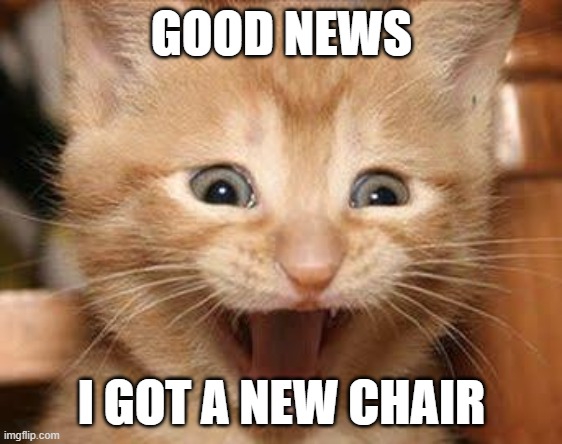 good news | GOOD NEWS; I GOT A NEW CHAIR | image tagged in memes,excited cat | made w/ Imgflip meme maker