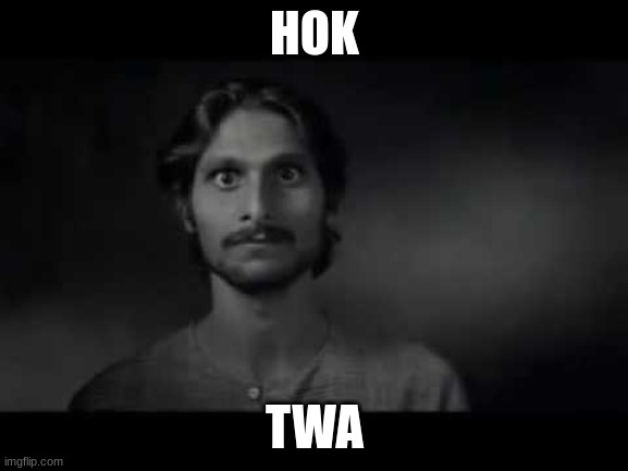 janta maaf nahi karegi | HOK; TWA | image tagged in janta maaf nahi karegi | made w/ Imgflip meme maker