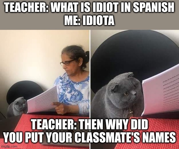 I'm surrounded by idiots | TEACHER: WHAT IS IDIOT IN SPANISH
ME: IDIOTA; TEACHER: THEN WHY DID YOU PUT YOUR CLASSMATE'S NAMES | image tagged in woman showing paper to cat | made w/ Imgflip meme maker