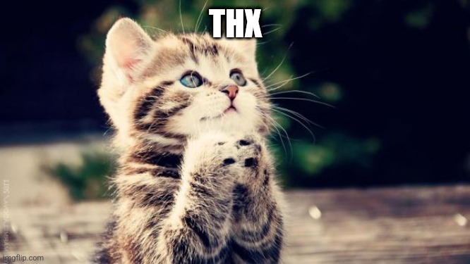 Praying cat | THX | image tagged in praying cat | made w/ Imgflip meme maker