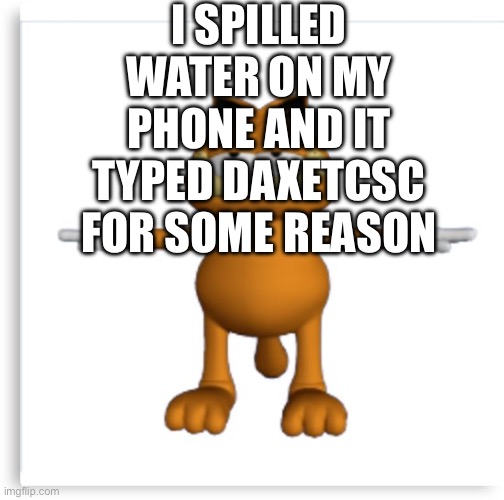 daxetcsc | I SPILLED WATER ON MY PHONE AND IT TYPED DAXETCSC FOR SOME REASON | image tagged in garfield tpose | made w/ Imgflip meme maker