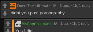 didnt you post pornography Blank Meme Template