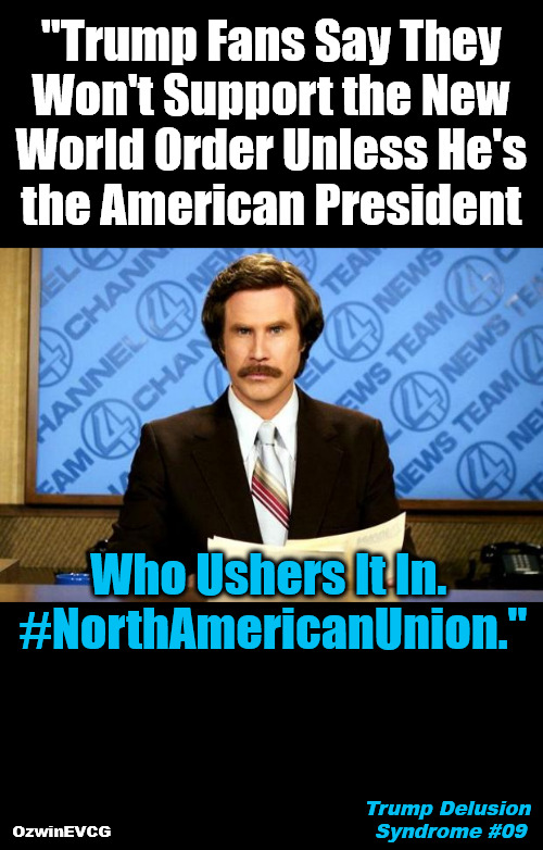 Trump Delusion Syndrome #09 | "Trump Fans Say They 

Won't Support the New 

World Order Unless He's 

the American President; Who Ushers It In. 

#NorthAmericanUnion."; Trump Delusion 

Syndrome #09; OzwinEVCG | image tagged in breaking news,ron burgundy,nwo,new world order,donald trump,say what | made w/ Imgflip meme maker